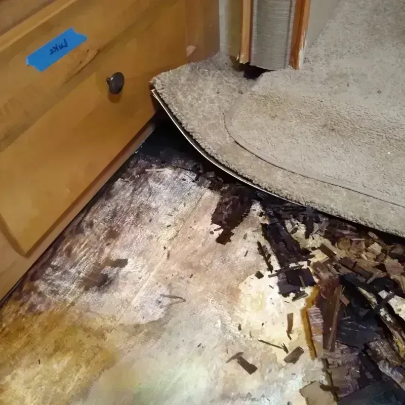 Wood Floor Water Damage in Riverside, MD